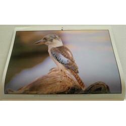 Australian Birds Calendar 2003