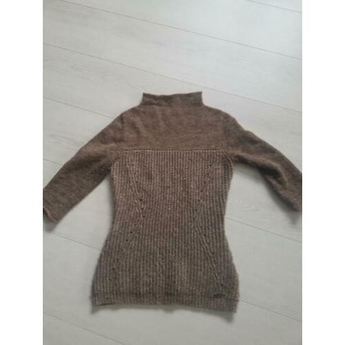 Truitje Guess