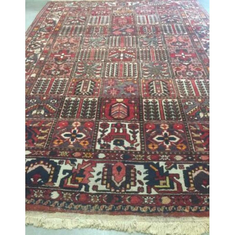 Handgeknoopt Bakhtiar perzisch tapijt/vloerkleed wol 315x220