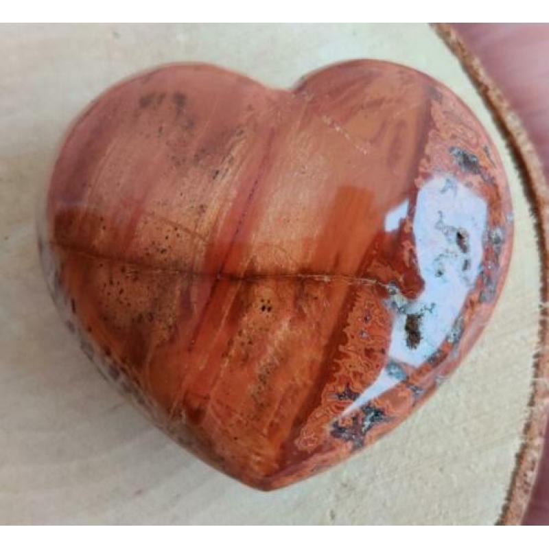 Hart Versteend Hout