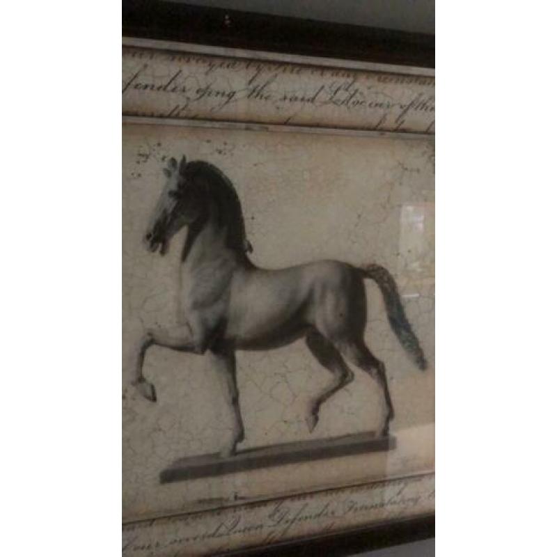Paarden schilderij