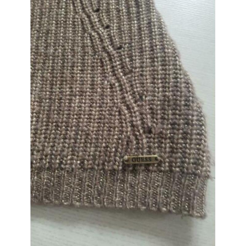 Truitje Guess