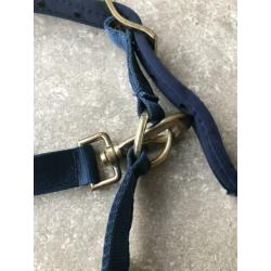 Bucas halster aqua blauw. Maat pony