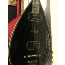Elektro Saz Profesyonel