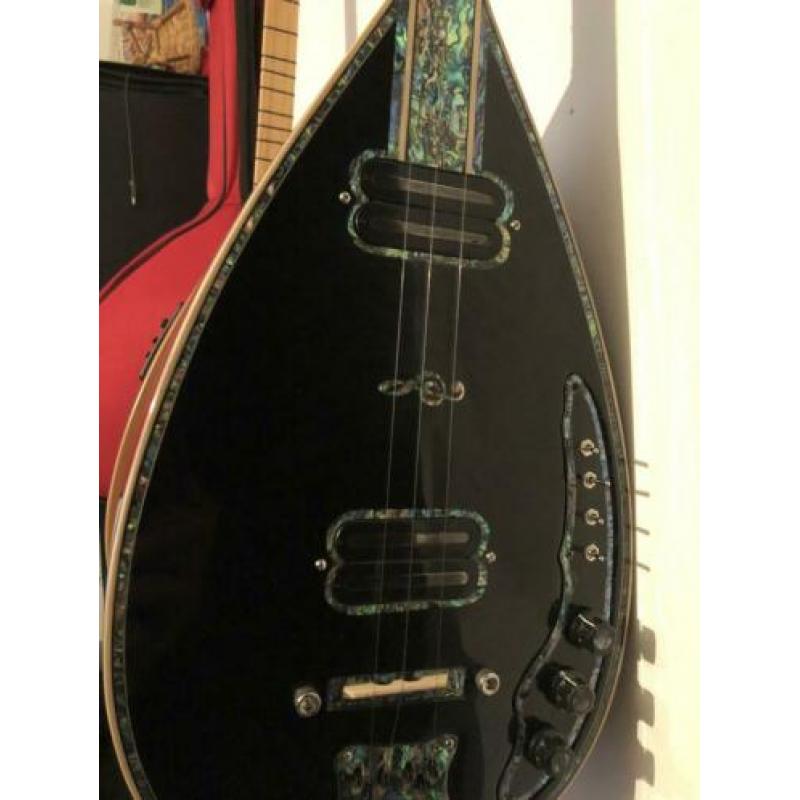 Elektro Saz Profesyonel