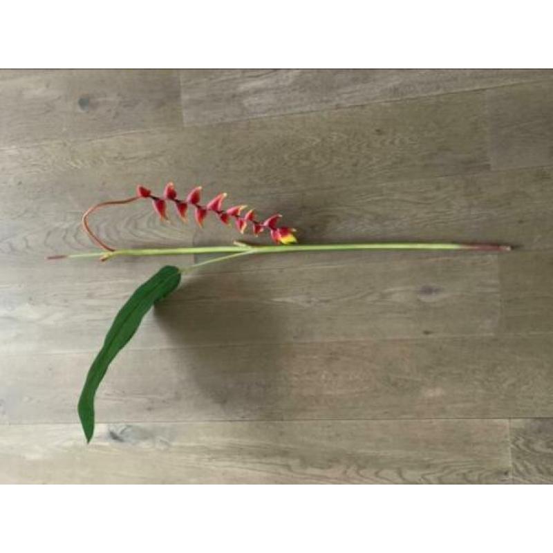 Nep tropisch bloemen