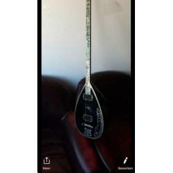 Elektro Saz Profesyonel