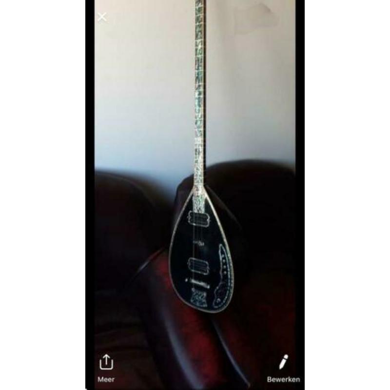 Elektro Saz Profesyonel