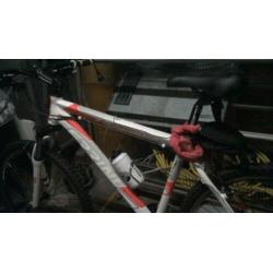 jongens mountenbike