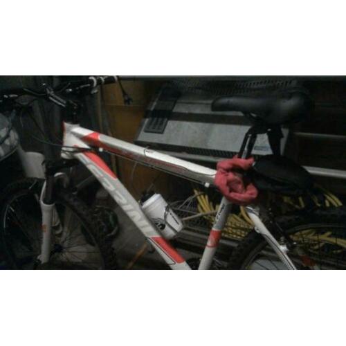 jongens mountenbike