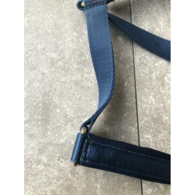 Bucas halster aqua blauw. Maat pony
