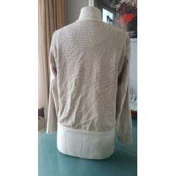 Prachtig vest LE COMTE (maat 36, incl. verzendkosten)