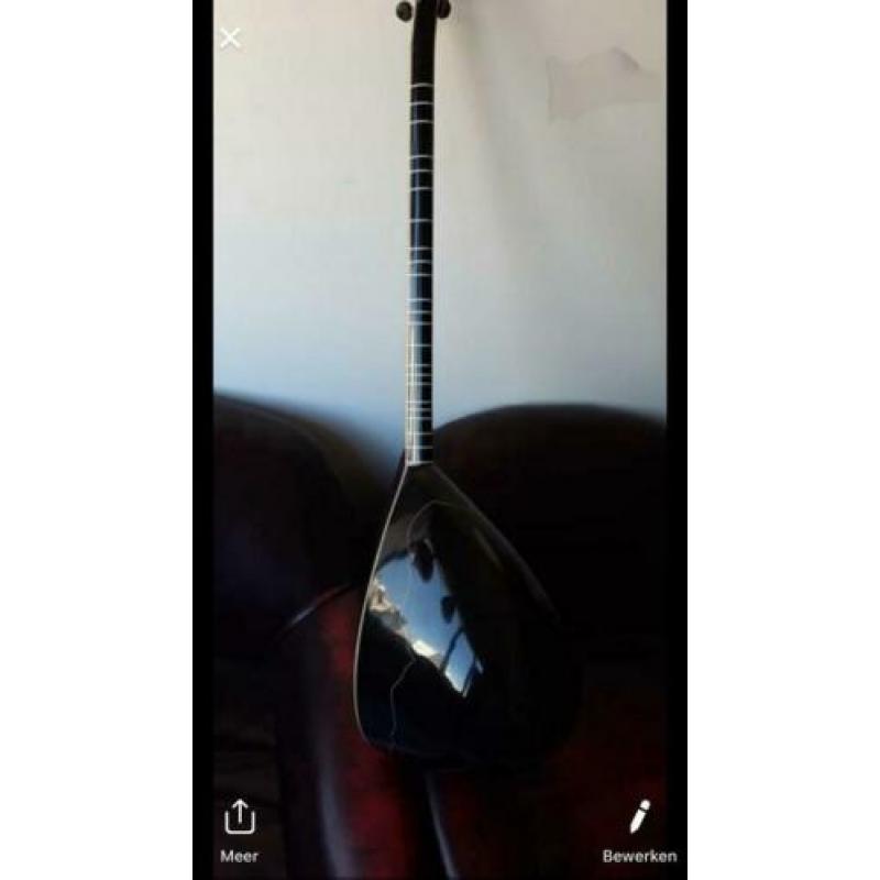 Elektro Saz Profesyonel