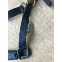Bucas halster aqua blauw. Maat pony
