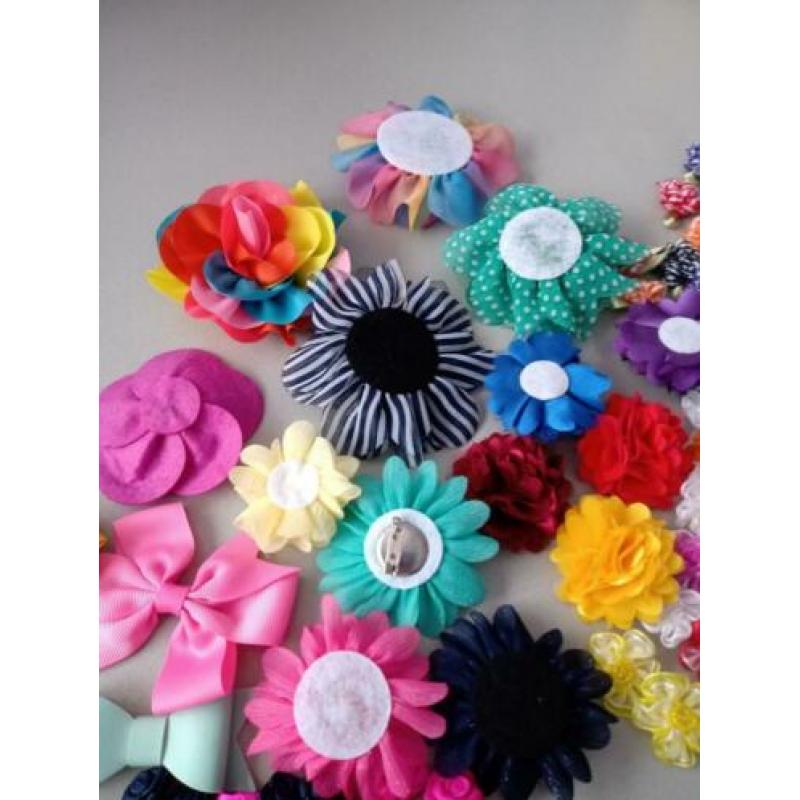 Diverse bloemen voor hobby