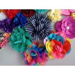 Diverse bloemen voor hobby