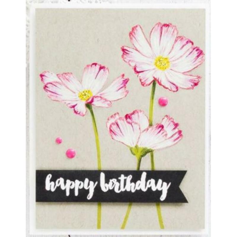 Te koop: prachtige stempelset Altenew Stunning Cosmos