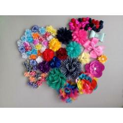 Diverse bloemen voor hobby