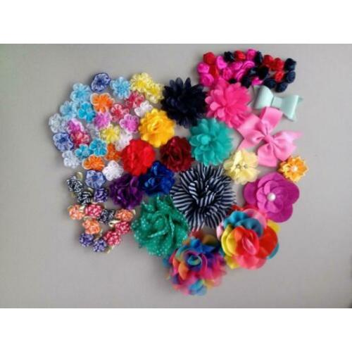 Diverse bloemen voor hobby