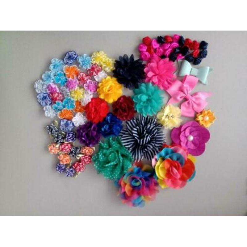 Diverse bloemen voor hobby