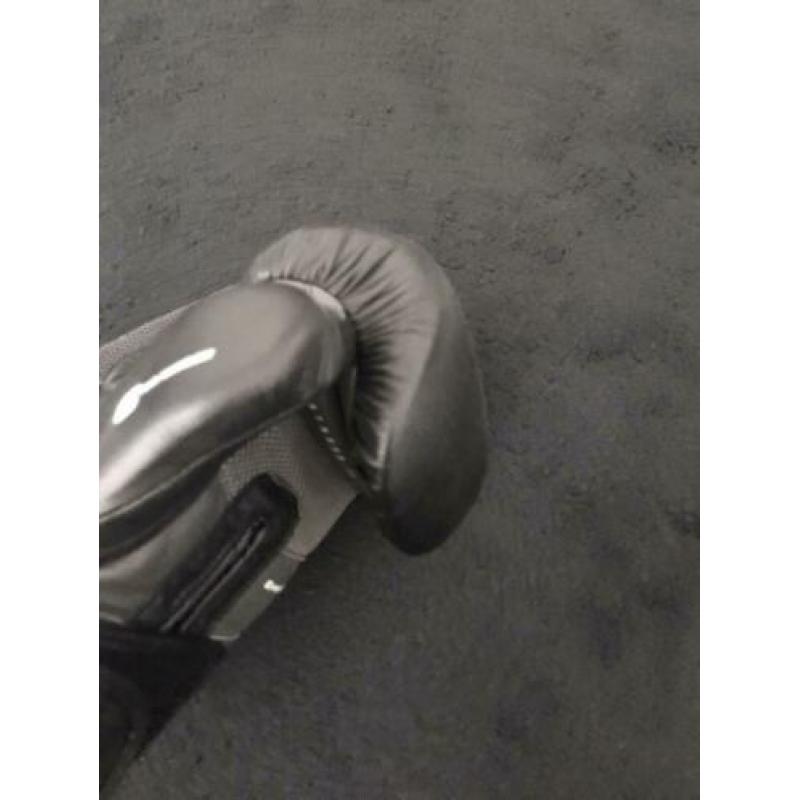 Zgan boxhandschoenen Everlast elite mt L/xl