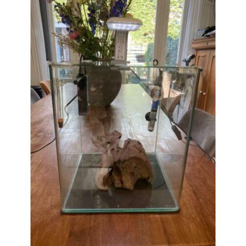 Glazen aquarium inclusief startersset