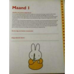 Negen maanden boek .nijntje Dick Bruna