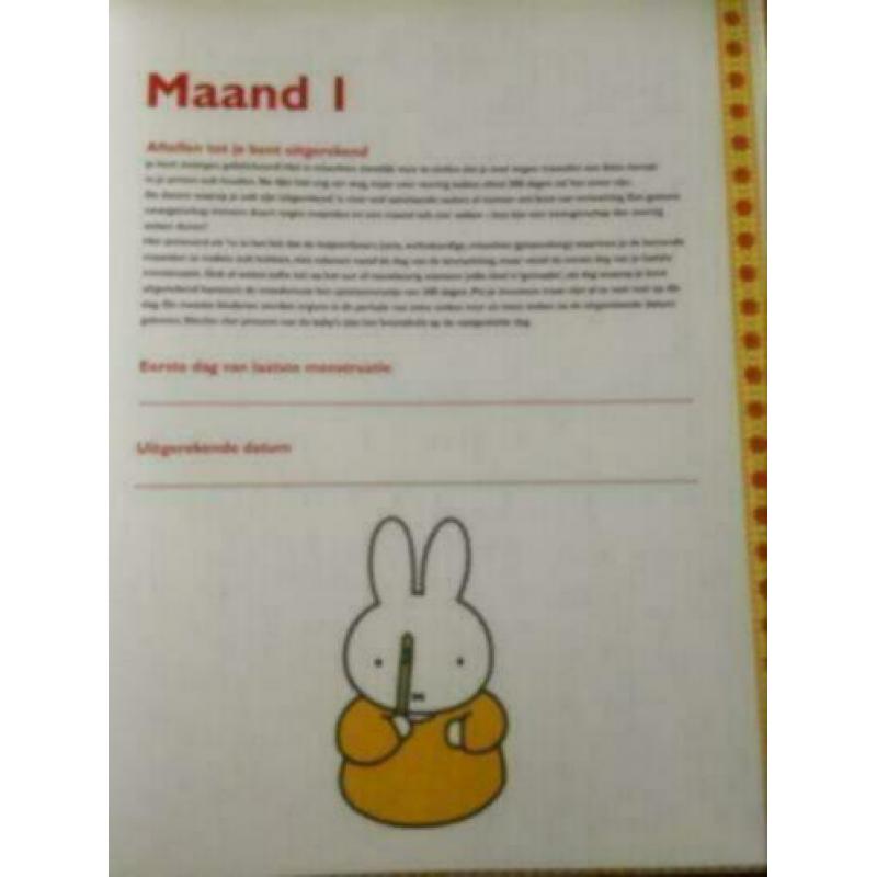 Negen maanden boek .nijntje Dick Bruna