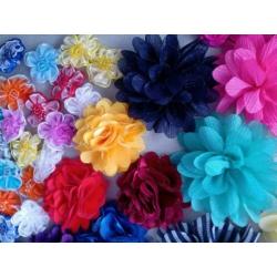Diverse bloemen voor hobby