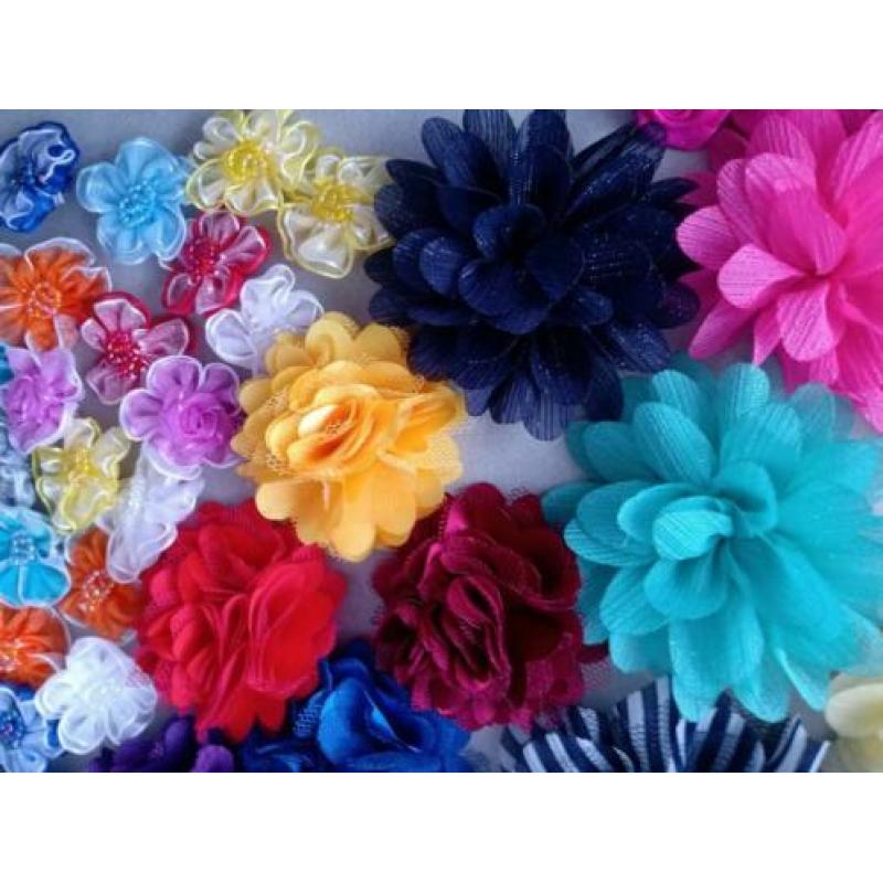 Diverse bloemen voor hobby