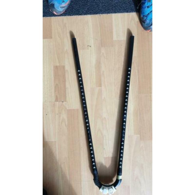 carbon eindstukken