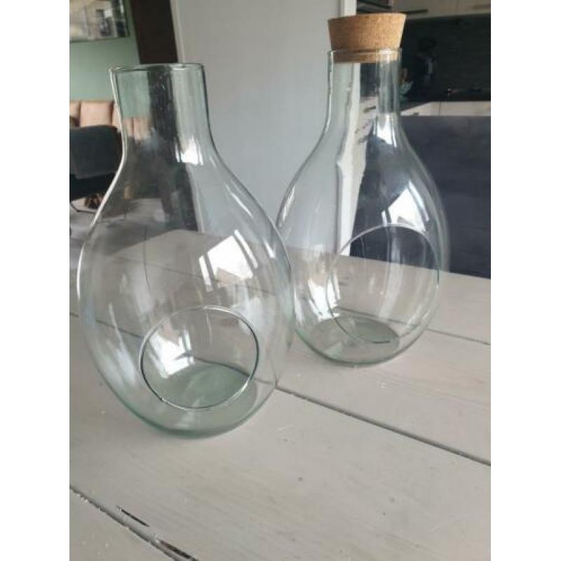 2 grote Terrarium bol vazen,voor planten / kaarsen lantaarn.