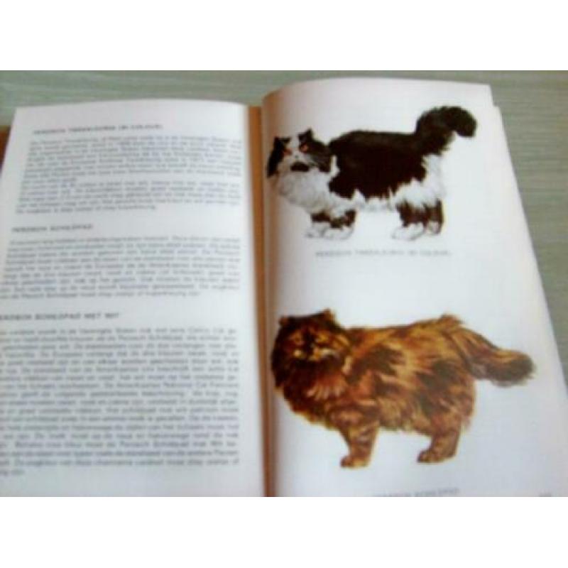 Kattengids – Thieme Met beschrijving van meer dan 90 variëte