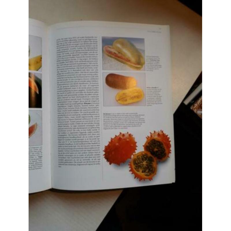 Het Grote Exotisch Vruchten boek