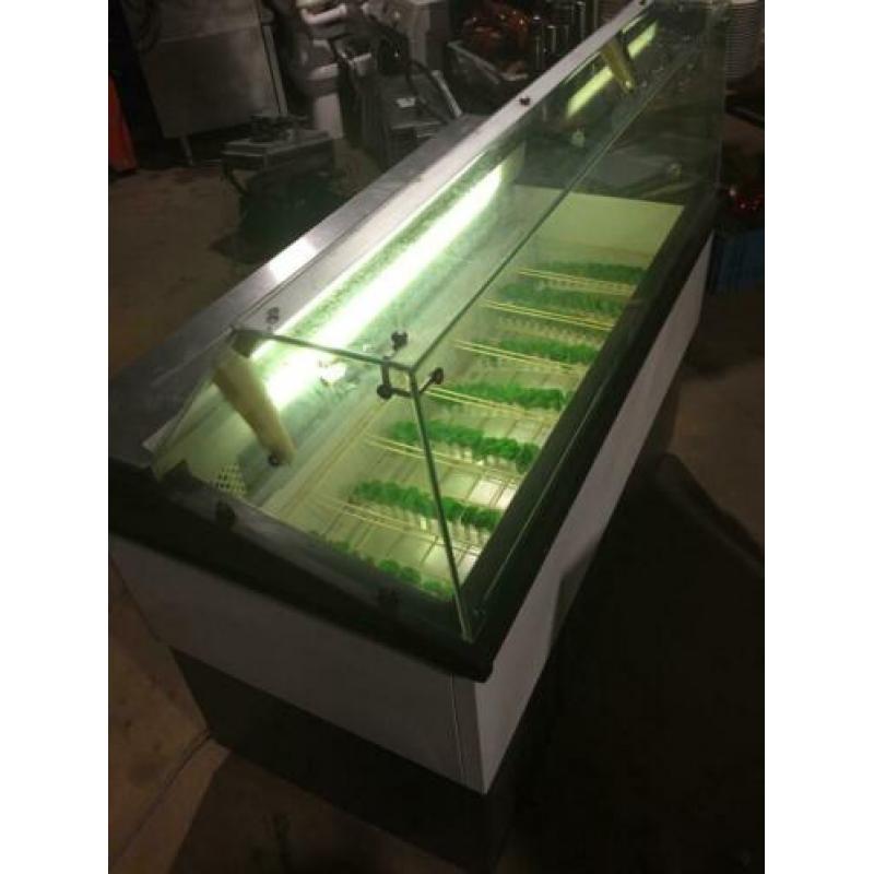 Koelvitrine vitrine koeling koeler ijsvitrine