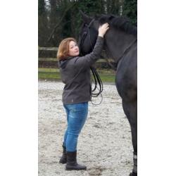 paardenoppas