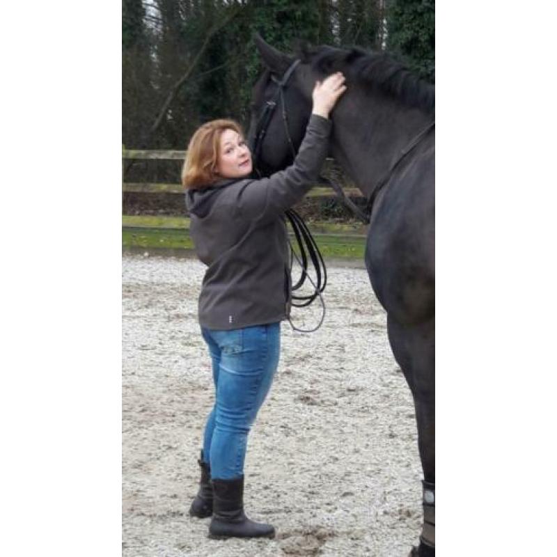 paardenoppas