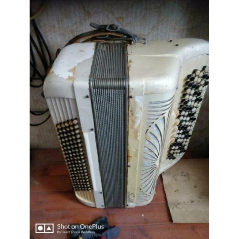 Skandelli