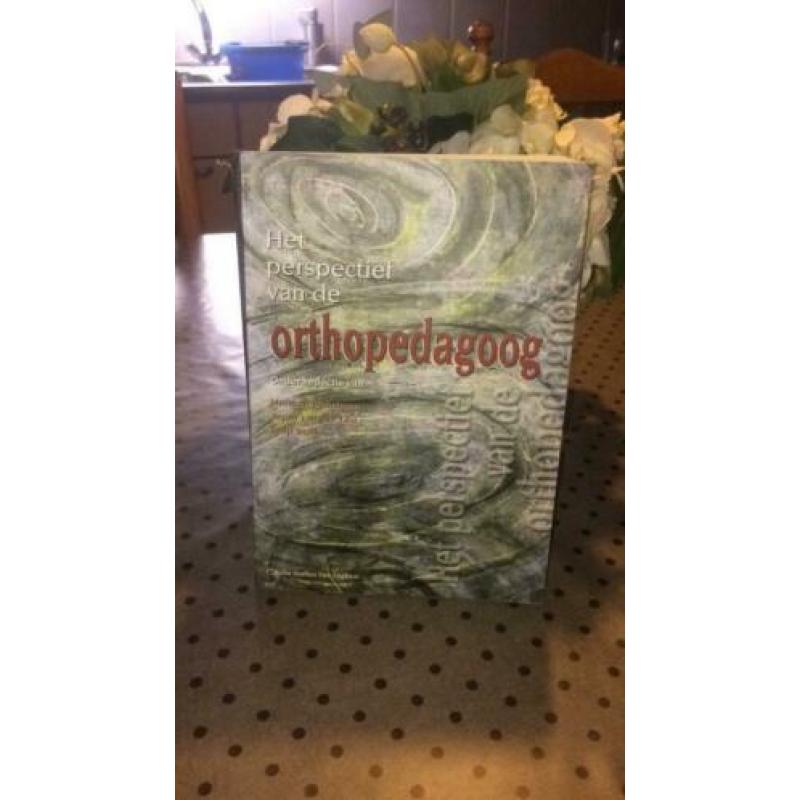 Het perspectief van de orthopedagoog