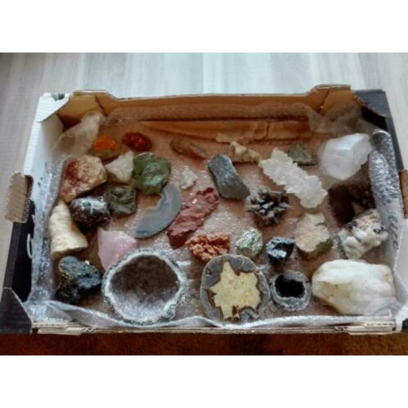 verzameling fossielen & mineralen