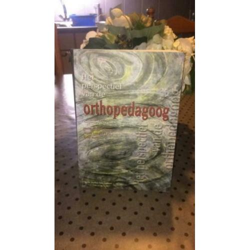 Het perspectief van de orthopedagoog