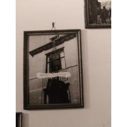 Persfoto Paul Hartland Woody van Amen Integral Naturalism