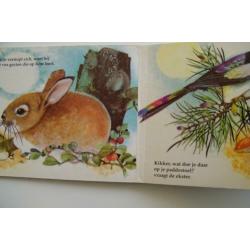 Oud Kinderboekje IN HET BOS