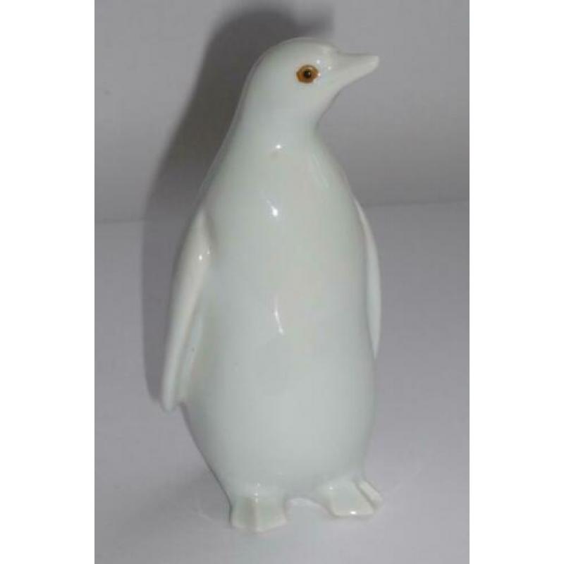 Witte Pinguïn beelden