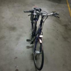 elektrische fiets giant