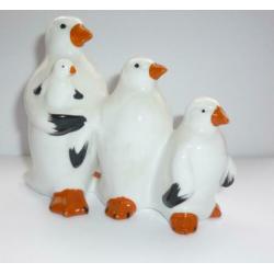 Witte Pinguïn beelden