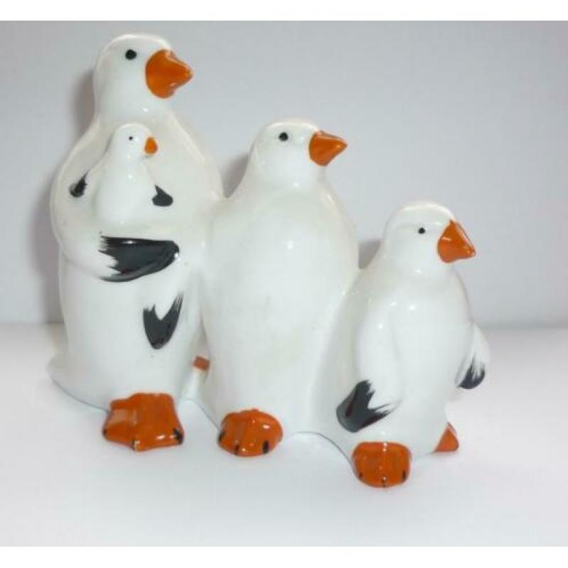 Witte Pinguïn beelden
