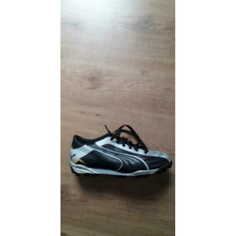 puma