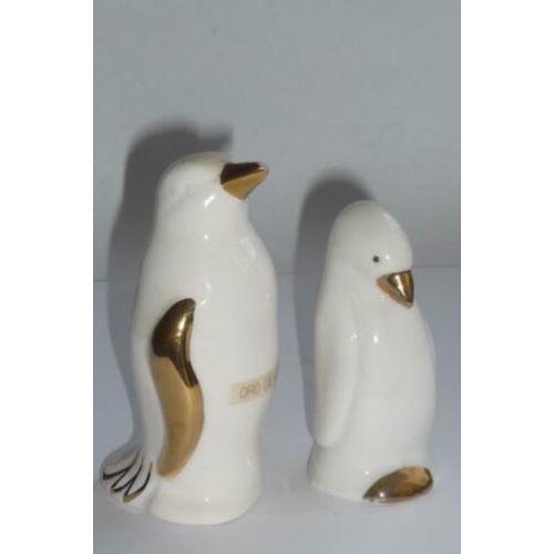 Witte Pinguïn beelden