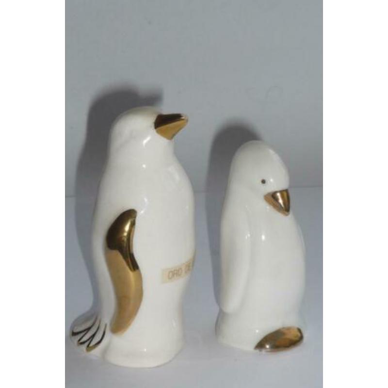 Witte Pinguïn beelden